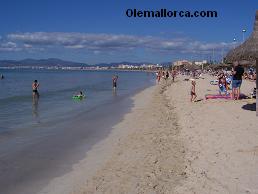 playa Arenal Mallorca