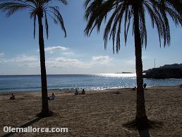 playas de Palma