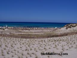 playa cala Mesquida, Mallorca