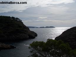 costa y playa Paguera