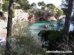 playa ses llises, Paguera