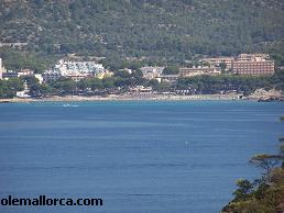 playa Tora, Paguera