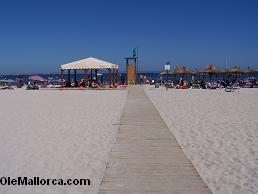 playa Calvia