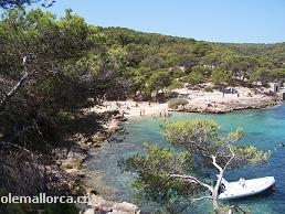 calas de Mallorca, playa portalls vells