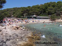 playa Portals Vells, Mallorca