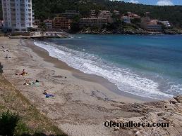 playa San Telmo